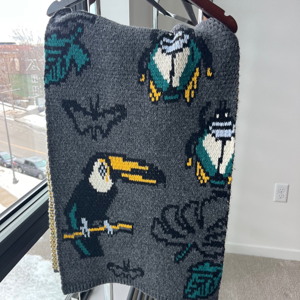 Jcrew x Demylee wool toucan print scarf NWT